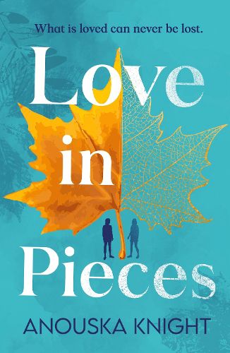 Cover image for Erin Knight Book 2