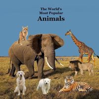 Cover image for The World's Most Popular Animals Children's Book