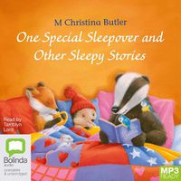 Cover image for One Special Sleepover