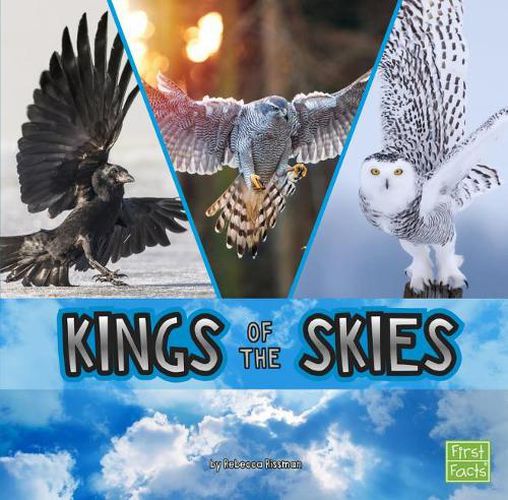 Cover image for Kings of the Skies