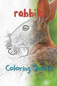 Cover image for Rabbit Coloring Sheets