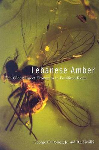 Cover image for Lebanese Amber: The Oldest Insect Ecosystem in Fossilized Resin