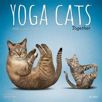 Cover image for Yoga Cats Together 2020 Square Plato