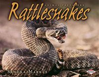 Cover image for Rattlesnakes