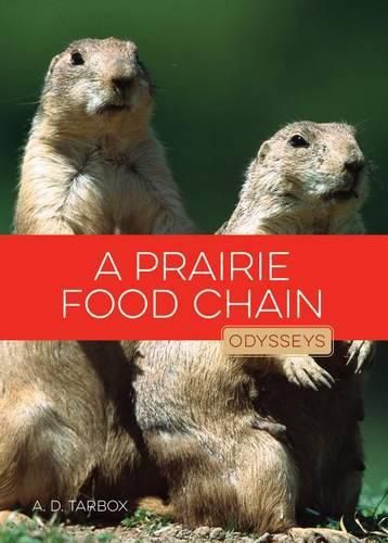 Cover image for A Prairie Food Chain