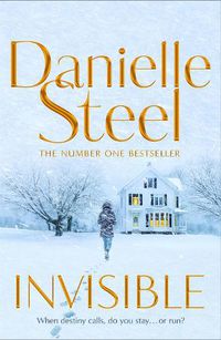 Cover image for Invisible