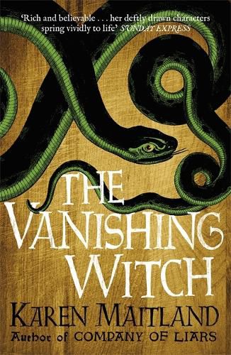 Cover image for The Vanishing Witch: A dark historical tale of witchcraft and rebellion