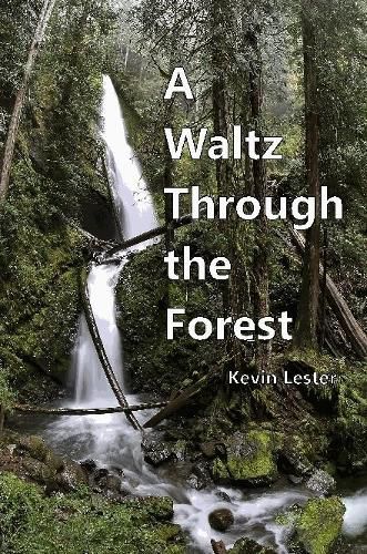 Cover image for A Waltz Through the Forest