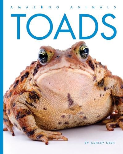 Cover image for Toads