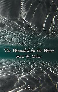 Cover image for The Wounded for the Water