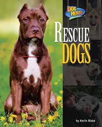 Cover image for Rescue Dogs