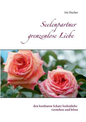 Cover image for Seelenpartner grenzenlose Liebe: den kostbaren Schatz Seelenliebe verstehen und leben