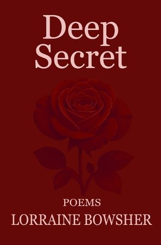 Cover image for Deep Secret