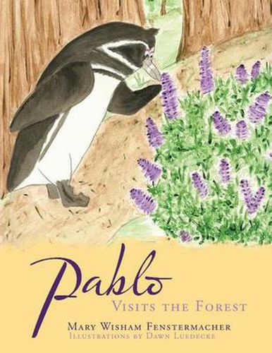 Cover image for Pablo Visits the Forest