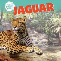 Cover image for Jaguar