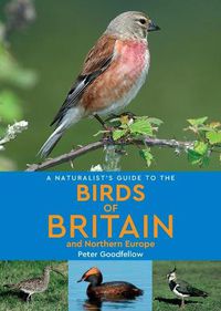 Cover image for A Naturalist's Guide to the Birds of Britain and Northern Europe (2nd edition)