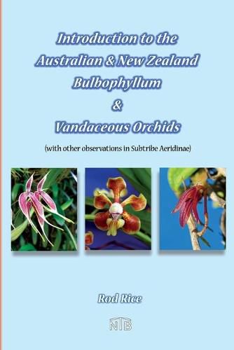 Cover image for Introduction to the Australian & New Zealand Bulbophyllum & Vandaceous Orchids (with other observations in subtribe Aeridinae).