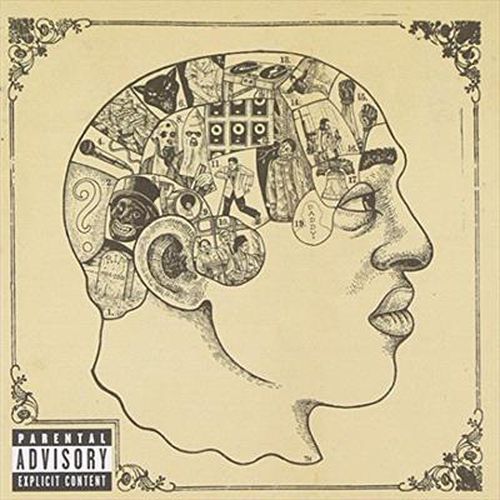 Cover image for Phrenology