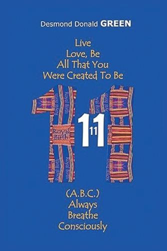 Cover image for Eleven