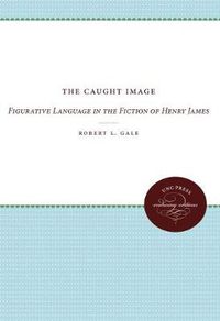 Cover image for The Caught Image: Figurative Language in the Fiction of Henry James