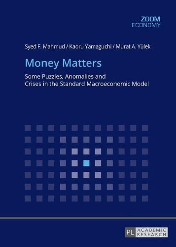 Cover image for Money Matters: Some Puzzles, Anomalies and Crises in the Standard Macroeconomic Model