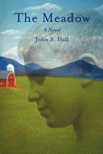 Cover image for The Meadow