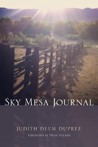 Cover image for Sky Mesa Journal