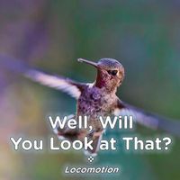 Cover image for Well, Will You Look at That? Locomotion