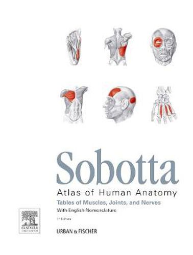 Sobotta Tables of Muscles, Joints and Nerves, English: Tables to 15th ed. of the Sobotta Atlas