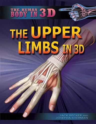 Cover image for The Upper Limbs in 3D