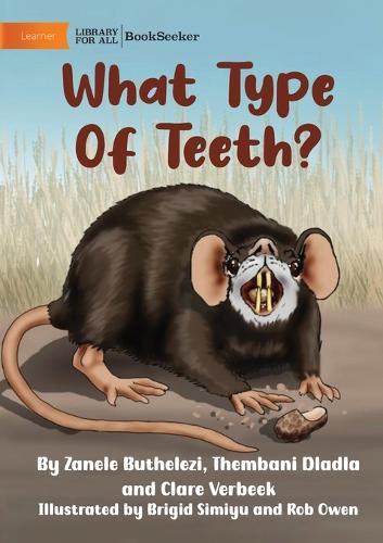 Cover image for What Type Of Teeth?