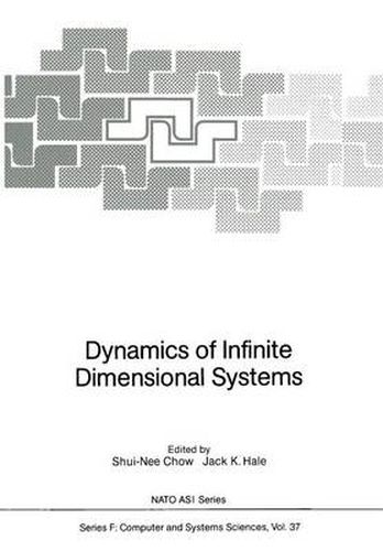 Dynamics of Infinite Dimensional Systems