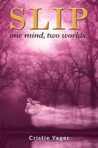 Cover image for Slip: One mind two Worlds