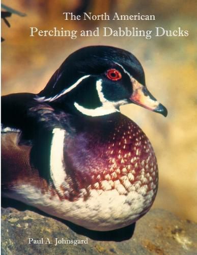 The North American Perching and Dabbling Ducks