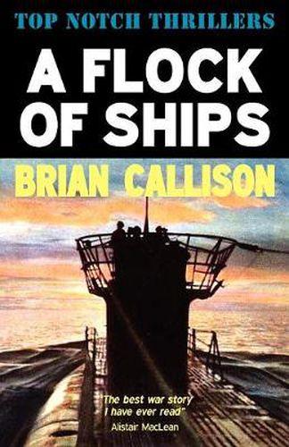 Cover image for A Flock of Ships