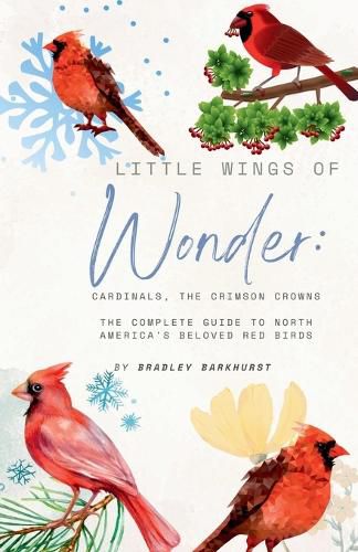 Cover image for Little Wings of Wonder
