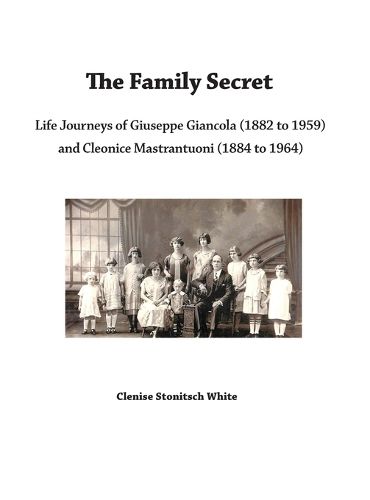 Cover image for The Family Secret