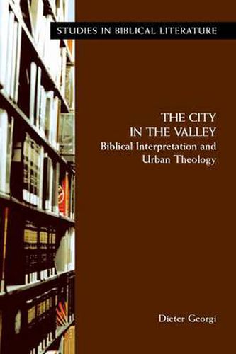 Cover image for The City in the Valley: Biblical Interpretation and Urban Theology