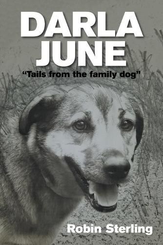 Cover image for Darla June