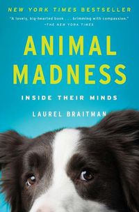 Cover image for Animal Madness: Inside Their Minds