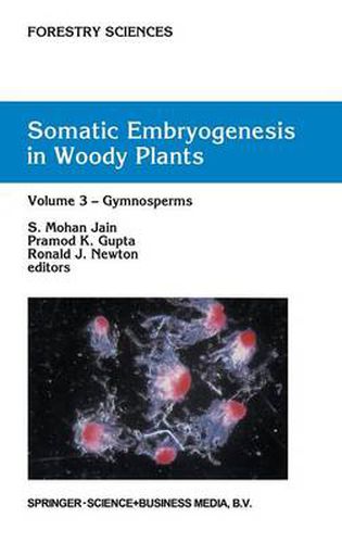 Somatic Embryogenesis in Woody Plants: Volume 3: Gymnosperms