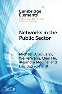 Cover image for Networks in the Public Sector: A Multilevel Framework and Systematic Review