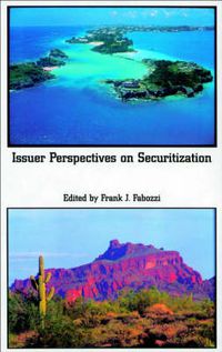 Cover image for Issuer Perspectives on Securitization