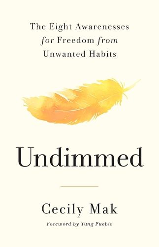 Cover image for Undimmed
