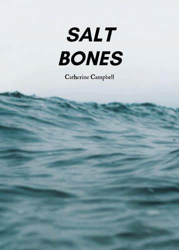 Cover image for Salt Bones