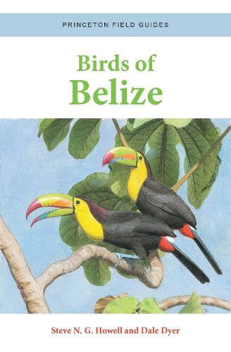 Cover image for Birds of Belize