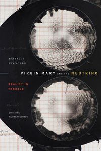 Cover image for Virgin Mary and the Neutrino