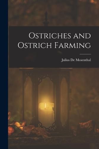 Cover image for Ostriches and Ostrich Farming