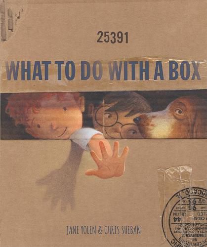 Cover image for What to Do with a Box