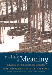 Cover image for The Life of Meaning: Reflections on Faith, Doubt and Repairing the World